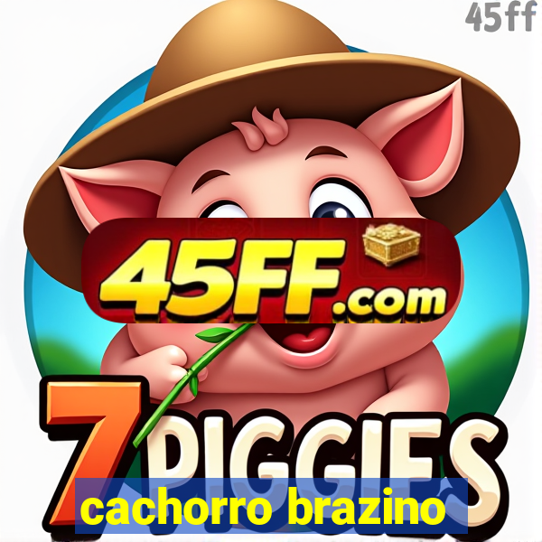 cachorro brazino